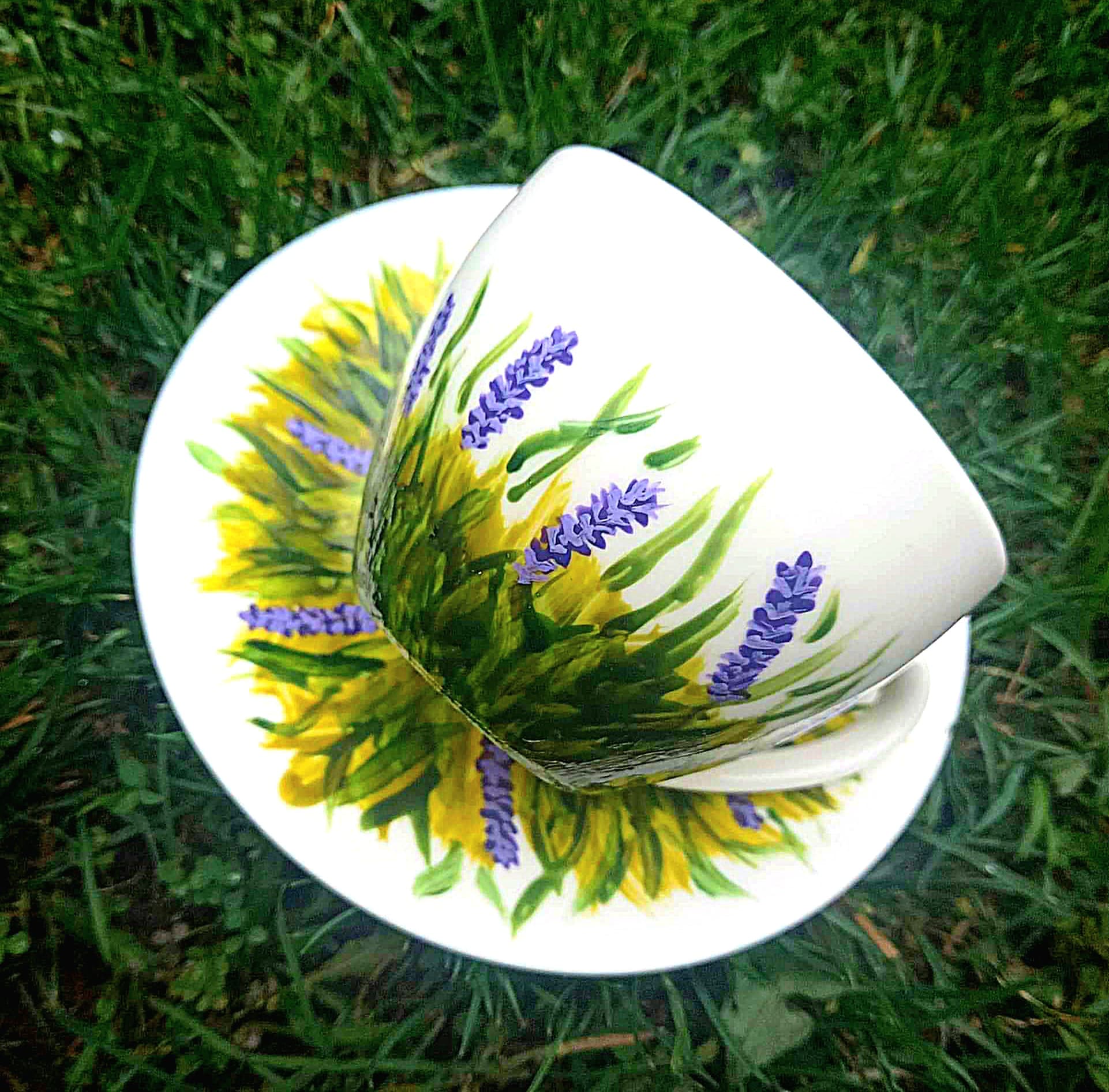 315311538_5616240501800702_9065437476980914067_n